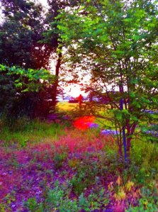 Image Credit: Doug Buckley of http://hyperactive.to